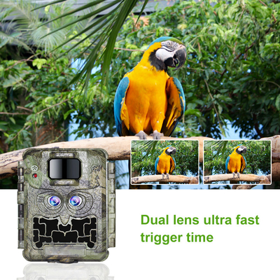 DC12V Dual Lens 1080P Wildlife Trail Camera 13MP CMOS ไม่มีกล้องเรืองแสง