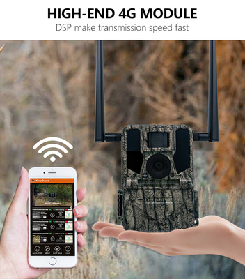 กล้อง 4G แบบไร้สาย ถ่ายทอดคลุมตัว KW897 พร้อมแอนเทนนาคู่ มุมมองกลางคืน 36MP วิดีโอ 2K สําหรับการล่ากวาง