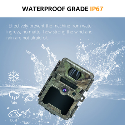 KW571 โรงงาน OEM ODM Mini Wildlife Scouting Timelapse Trail Camera IP67 เครื่องรับสัญญาณ CMOS ไม่มีแสงสว่างและความจํา SD ภาพกลางคืน