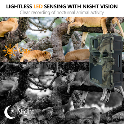 KW571 โรงงาน OEM ODM Mini Wildlife Scouting Timelapse Trail Camera IP67 เครื่องรับสัญญาณ CMOS ไม่มีแสงสว่างและความจํา SD ภาพกลางคืน