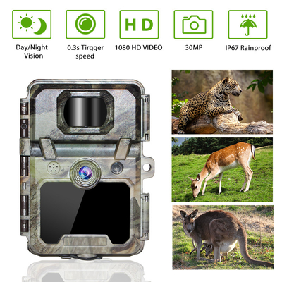 KW571 โรงงาน OEM ODM Mini Wildlife Scouting Timelapse Trail Camera IP67 เครื่องรับสัญญาณ CMOS ไม่มีแสงสว่างและความจํา SD ภาพกลางคืน