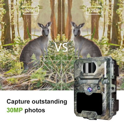 KW571 โรงงาน OEM ODM Mini Wildlife Scouting Timelapse Trail Camera IP67 เครื่องรับสัญญาณ CMOS ไม่มีแสงสว่างและความจํา SD ภาพกลางคืน