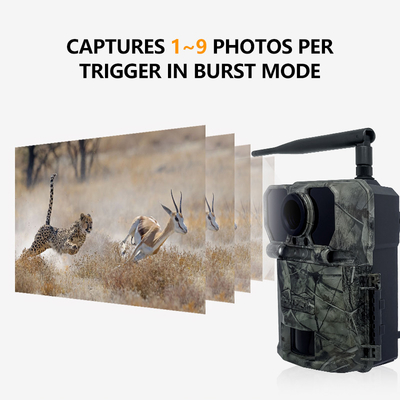 32MP 4G Trail Camera พร้อมเวลากระตุ้น 0.2s รวดเร็ว และรูป / วิดีโอ / รูปภาพวีดีโอโหมดสําหรับ Versatile