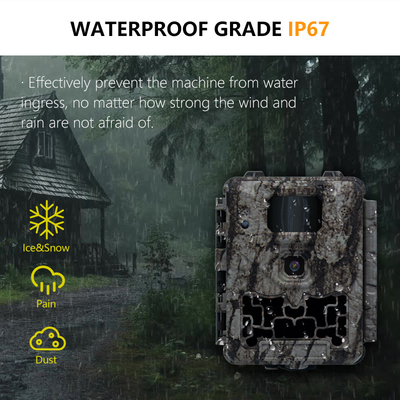 KW561 Trail Infra Cam Mini 30MP 0.25s ความเร็ว 4K ความละเอียดวิดีโอ เครื่องตรวจจับ CMOS กันน้ํา SD Me