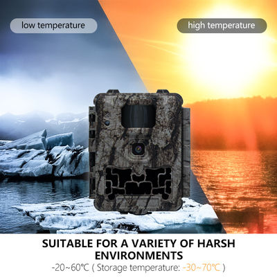 กล้องล่าสัตว์แบบมืออาชีพพร้อมระบบตัดแสงอินฟราเรดอัตโนมัติและรองรับเลนส์ขนาดเล็ก 450 มม. เพื่อภาพสัตว์ป่าที่คมชัดและมีรายละเอียด