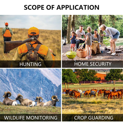 กล้องล่าสัตว์แบบมืออาชีพพร้อมระบบตัดแสงอินฟราเรดอัตโนมัติและรองรับเลนส์ขนาดเล็ก 450 มม. เพื่อภาพสัตว์ป่าที่คมชัดและมีรายละเอียด