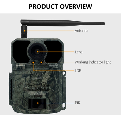 KW865 WIFI กล้องซ่อนในกลางแจ้ง กล้องล่าไร้สาย IP67 กล้อง 20MP ที่ส่งภาพไปยังคุณ