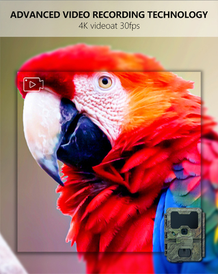 WIFI trail Camera KW866 กันน้ํา IP67 OEM/ODM ขนาดสูงสุด 512GB การเก็บของ SD Memory Card 32MP 4K กล้องสัตว์ป่า