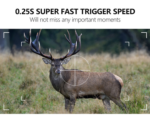 WIFI trail Camera KW866 กันน้ํา IP67 OEM/ODM ขนาดสูงสุด 512GB การเก็บของ SD Memory Card 32MP 4K กล้องสัตว์ป่า