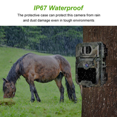 กล้องล่าสัตว์ IP67 No-Glow พร้อมรองรับเลนส์ขนาดเล็ก 450 มม. และกล้องล่าสัตว์ HD ช่วงเวลา 1 วินาที - 60 นาที