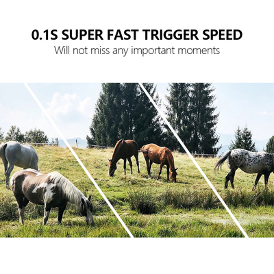 2024 กล้องทดลองไร้สาย 4G ใหม่ที่สุด OEM/ODM KW886 24MP 0.1s ตัวกระสุน 120 ฟุต Night Range สร้างใน ซิมการ์ด กล้องสัตว์ป่า
