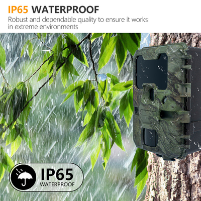 กล้องล่า KW788 กันน้ํา IP67 วิดีโอ 4K 32MP ง่ายนําทาง ใช้งานง่าย ใช้งานได้นาน