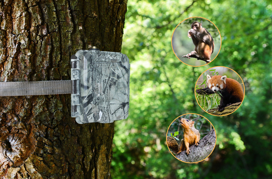 KG45 TRAMP ALARM TRAIL CAMERA สําหรับการล่าสนับสนุน 1 ~ 5 เบอร์มือถือชื่นชอบ