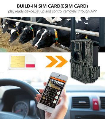 กล้องล่าและติดตามกล้องวงจรแสงอาทิตย์ 4G กล้องไร้สาย KW897 ด้วยแอนเทนนาคู่ 100 ฟุต ระยะกลางคืน 36MP วิดีโอ 2K ที่ 30fps