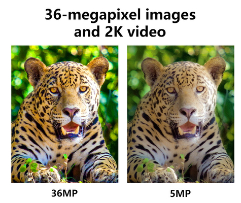กล้องติดตามแบบไร้สาย 4G สูงสุด 2024 KW897 ล่าสุด พร้อมแอนเทนน่าคู่ 36MP 2K 0.1s ความเร็วการกดด้วยสายตากลางคืน สําหรับการวิจัยสัตว์ป่า