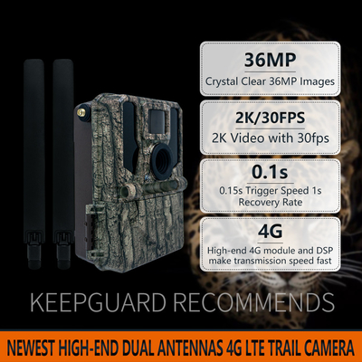 กล้องติดตามแบบไร้สาย 4G สูงสุด 2024 KW897 ล่าสุด พร้อมแอนเทนน่าคู่ 36MP 2K 0.1s ความเร็วการกดด้วยสายตากลางคืน สําหรับการวิจัยสัตว์ป่า