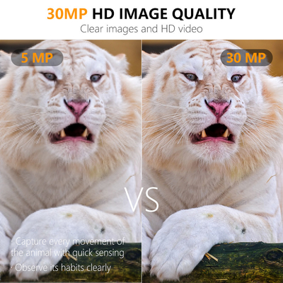 กล้องล่าขนาดเล็ก ประหยัด KW561 ด้วย 30MP/1080P กันน้ํา IP67 ถึง 512GB 0.3s กดกดสําหรับการล่าสัตว์ป่า