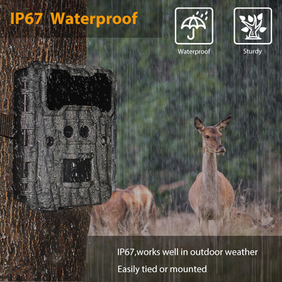 กล้องจับตามองแว่นสอง KW696 OEM/ODM ความเร็วการตอบสนอง 0.4s 1080P/30MP กันน้ํา IP67 100ft ระยะเวลากลางคืนสําหรับการล่าสัตว์ป่า