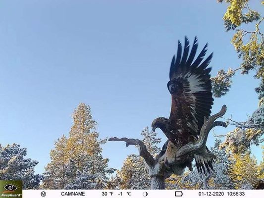 กล้องติดตามเส้นทาง 4G กันน้ำ IP65