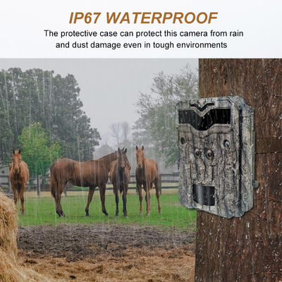 กล้องล่า HD แบบสองเลนส์