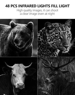 สัมผัสประสบการณ์ประสิทธิภาพที่เหนือกว่าด้วยกล้อง Trail 4G โซลูชันที่สมบูรณ์แบบสำหรับการตรวจสอบสัตว์ป่า