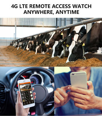 สัมผัสประสบการณ์ประสิทธิภาพที่เหนือกว่าด้วยกล้อง Trail 4G โซลูชันที่สมบูรณ์แบบสำหรับการตรวจสอบสัตว์ป่า