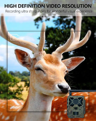 สัมผัสประสบการณ์ประสิทธิภาพที่เหนือกว่าด้วยกล้อง Trail 4G โซลูชันที่สมบูรณ์แบบสำหรับการตรวจสอบสัตว์ป่า