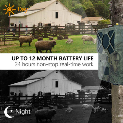 สัมผัสประสบการณ์ประสิทธิภาพที่เหนือกว่าด้วยกล้อง Trail 4G โซลูชันที่สมบูรณ์แบบสำหรับการตรวจสอบสัตว์ป่า