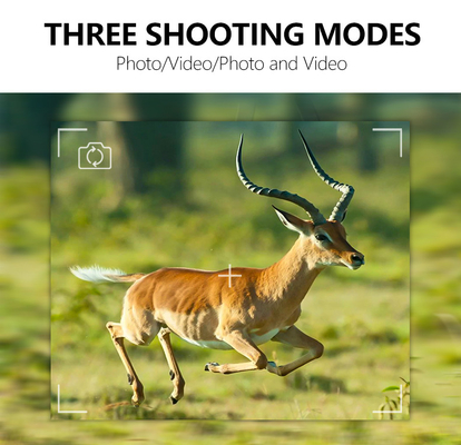 กล้องส่องรอย 4G ที่มีประสิทธิภาพสูง รูปภาพ HD ขนาด 36MP และวิดีโอ 2K กล้องล่ากันน้ํา IP66 ที่มีแอนเทนนาคู่