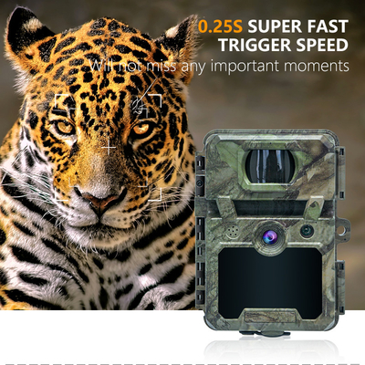กล้องตรวจจับสัตว์ป่าแบบไมตรีไร้สาย พร้อมคลุม 30MP IP66 กันน้ําและฟังก์ชัน PIR สําหรับการล่าและความปลอดภัย