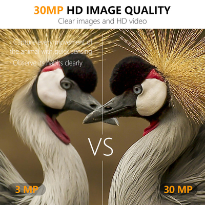 กล้องตรวจจับสัตว์ป่าแบบไมตรีไร้สาย พร้อมคลุม 30MP IP66 กันน้ําและฟังก์ชัน PIR สําหรับการล่าและความปลอดภัย