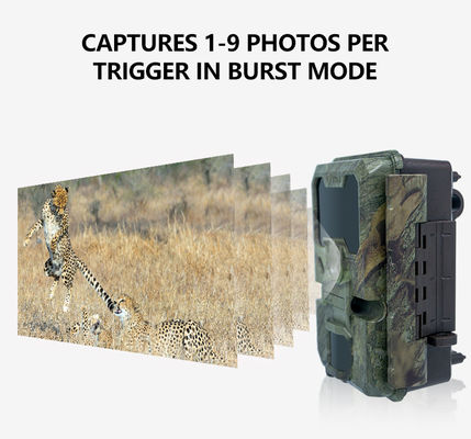 กล้องล่าสัตว์ 32MP พร้อมโหมดภาพถ่าย วิดีโอ และภาพถ่ายวิดีโอ และตัวเลือกขนาดภาพและวิดีโอหลายขนาด