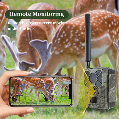 กล้องล่า 4G ที่ควบคุมทางไกล KW886 พร้อมความสามารถในการถ่ายภาพ 1080p และระยะทางกลางคืน 120 ฟุต