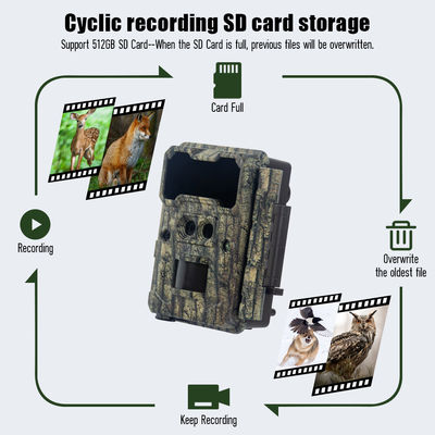 กล้องสัตว์ป่าความละเอียดเซนเซอร์สูง 13MP Cmos Dual Lens Trail Camera