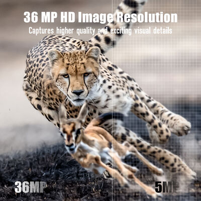 กล้อง 4G Trail มีความสามารถในการดูทางไกลและโฮสติ้งที่แข็งแกร่ง