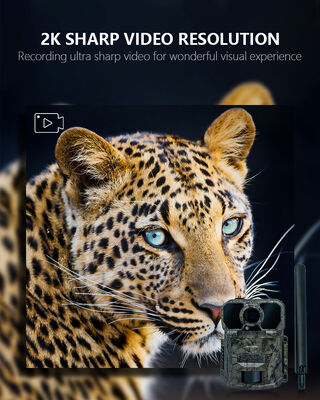 ความเร็วทริกเกอร์ 0.5 วินาที 4G กล้องล่าสัตว์ 0.8 ปอนด์ Compact Motion เปิดใช้งานกล้องสำหรับการเฝ้าระวังการล่าสัตว์ระยะไกล