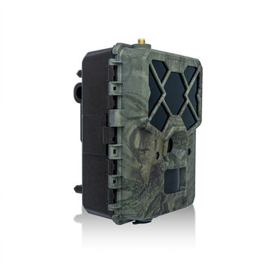Time Lapse Mode 4G Hunting Camera 1080p Full HD Video Trail Camera เหมาะสําหรับการสังเกตและรักษาความปลอดภัยสัตว์ป่าที่อยู่ห่างไกล