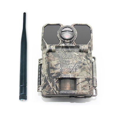 4G Outdoor Wireless GPRS GSM APP ฟรี กล้องติดตามการควบคุมทางไกล