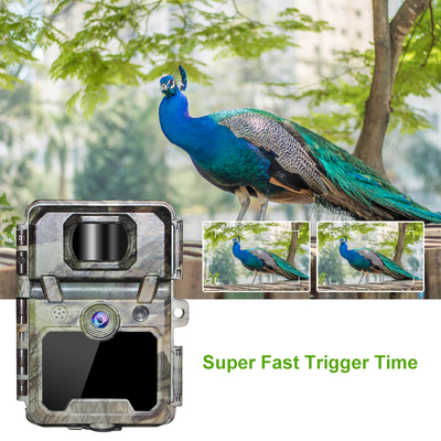 30MP 1080P HD กวางอินฟราเรดกล้องล่าสัตว์สัตว์ป่า 940nm ไม่มีแสง