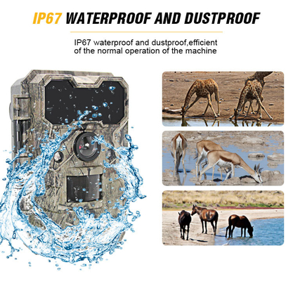 IP67 การพรางตัวไม่มีกล้องเรืองแสงอินฟราเรดทริกเกอร์เส้นทางการล่ากวางอย่างรวดเร็ว
