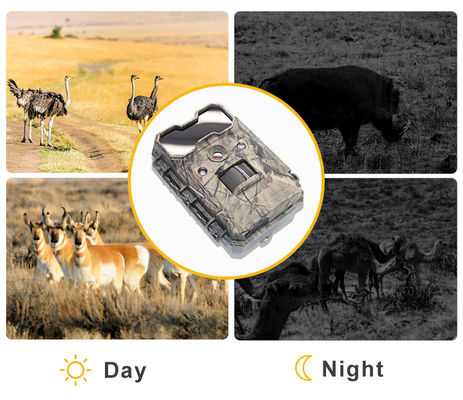 กล้องถ่ายภาพสัตว์ป่า