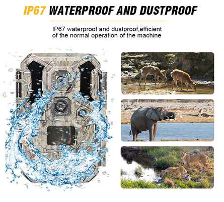 IP67 กล้องล่าสัตว์กลางแจ้งกล้องสัตว์ป่าอินฟราเรด Night Vision Deer 30MP โปรแกรมได้