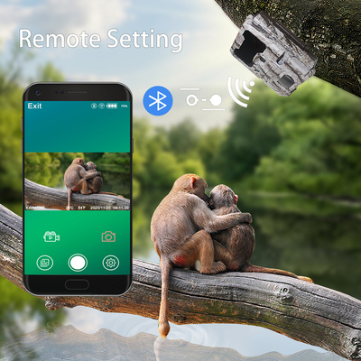 KW865 กล้องซ่อน WIFI สำหรับกล้องล่าสัตว์ไร้สายกลางแจ้งที่ส่งรูปภาพไปยังโทรศัพท์ของคุณ