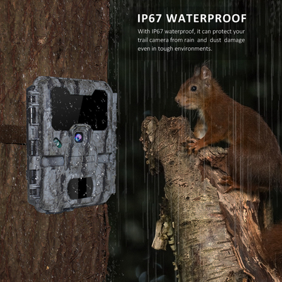 KW865 กล้องซ่อน WIFI สำหรับกล้องล่าสัตว์ไร้สายกลางแจ้งที่ส่งรูปภาพไปยังโทรศัพท์ของคุณ