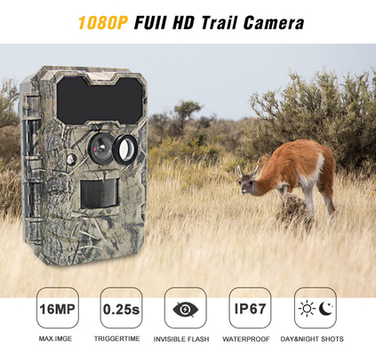Deer Camera KG790 กล้องอินฟราเรดสัตว์ป่ากลางแจ้ง 20MP IP67