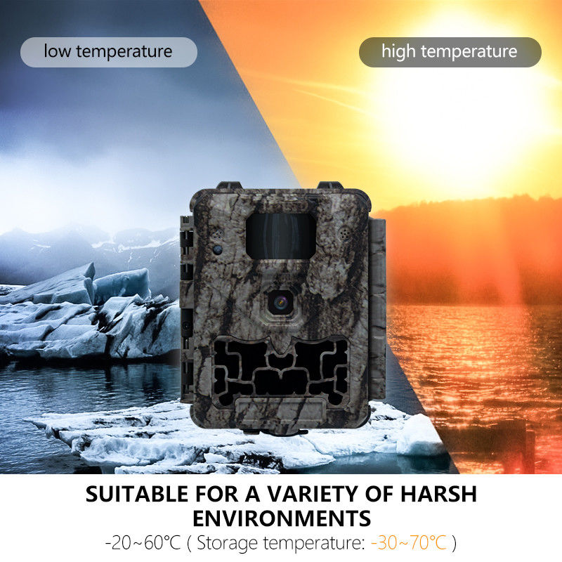 กล้องล่าสัตว์แบบมืออาชีพพร้อมระบบตัดแสงอินฟราเรดอัตโนมัติและรองรับเลนส์ขนาดเล็ก 450 มม. เพื่อภาพสัตว์ป่าที่คมชัดและมีรายละเอียด