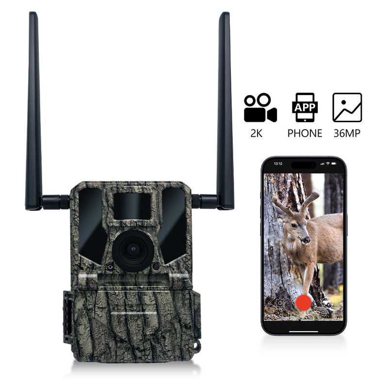 กล้องล่าไร้สาย 4G KW897 ที่ติดในซิมการ์ด จับวิดีโอ 2K 36MP ด้วย 30fps ด้วยแอนเทนน์คู่สําหรับสัตว์ป่า