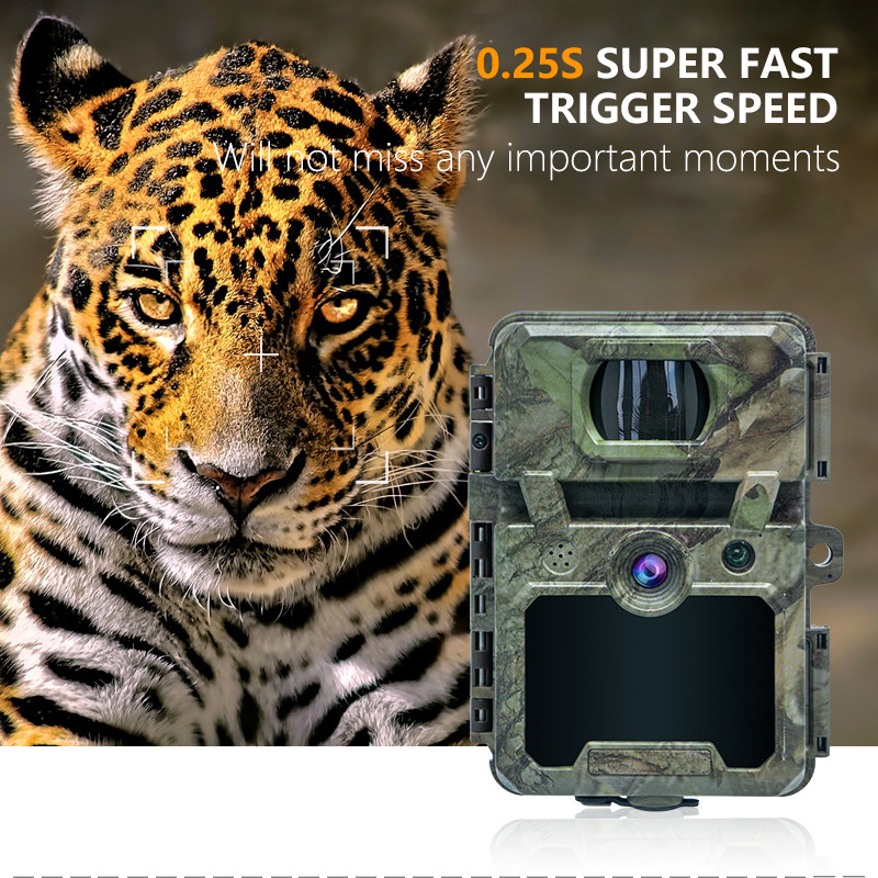 KW571 มินิ กล้องล่าไร้สาย IP67 ไม่มีแสงสว่าง CMOS Sensor SD Card เกมหลบป่าราคาถูกต่ํา