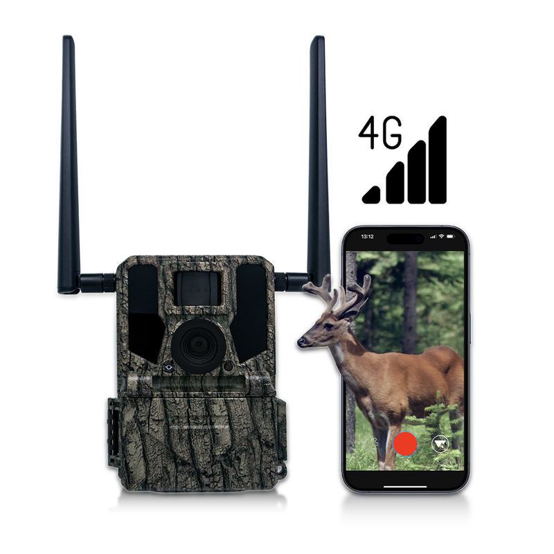 กล้องล่าและติดตามกล้องวงจรแสงอาทิตย์ 4G กล้องไร้สาย KW897 ด้วยแอนเทนนาคู่ 100 ฟุต ระยะกลางคืน 36MP วิดีโอ 2K ที่ 30fps